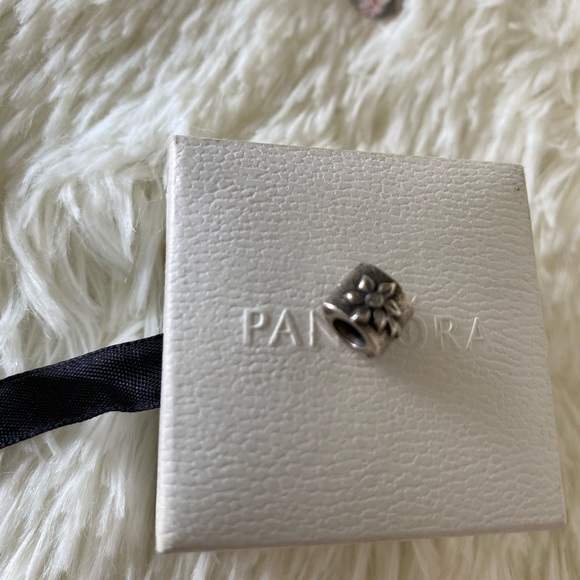 Authentic Pandors Charms, Bead Spacers, Chamilia .925 - Picture 3 of 7